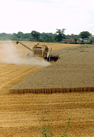 Combining on the Highclere Estate