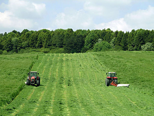Making haylage while the sun shines.... Making haylage while the sun shines....
